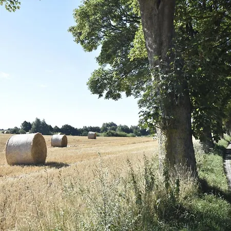 Spacious Holiday In With Trampoline